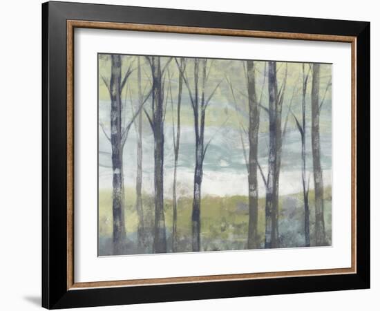 Pastel Birches II-Jennifer Goldberger-Framed Art Print