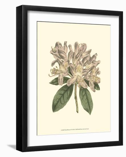Pastel Blooms IV-Samuel Curtis-Framed Art Print