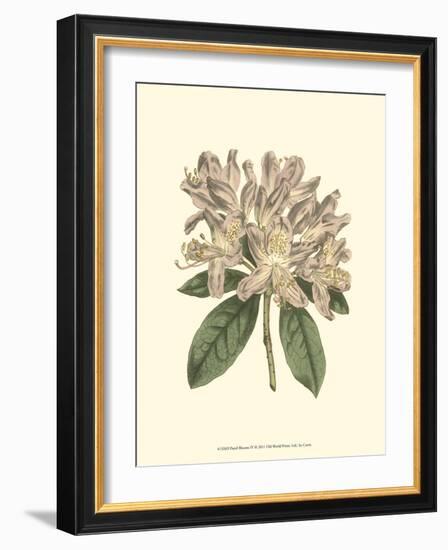 Pastel Blooms IV-Samuel Curtis-Framed Art Print