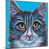 Pastel Cats I-Carolee Vitaletti-Mounted Art Print