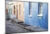 Pastel Colored Homes on Cobblestone Street in Bo-Kaap Residential District-Kimberly Walker-Mounted Photographic Print