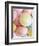 Pastel-Coloured Flying Saucers-Sam Stowell-Framed Photographic Print