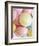 Pastel-Coloured Flying Saucers-Sam Stowell-Framed Photographic Print