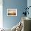 Pastel End of Day-Marcin Sobas-Framed Photographic Print displayed on a wall