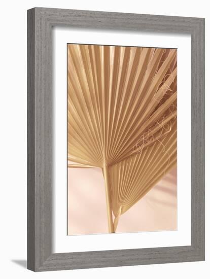 Pastel Fan 1-Ian Winstanley-Framed Premium Giclee Print