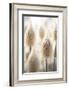 Pastel Flowers No 5-Treechild-Framed Photographic Print
