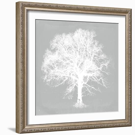 Pastel Forest III-Ken Hurd-Framed Giclee Print