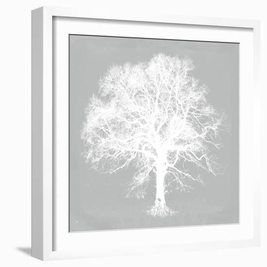 Pastel Forest III-Ken Hurd-Framed Giclee Print
