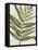 Pastel Frond I-Jennifer Goldberger-Framed Stretched Canvas