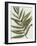 Pastel Frond II-Jennifer Goldberger-Framed Art Print