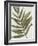 Pastel Frond II-Jennifer Goldberger-Framed Art Print