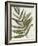 Pastel Frond II-Jennifer Goldberger-Framed Art Print