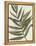 Pastel Frond II-Jennifer Goldberger-Framed Stretched Canvas