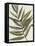 Pastel Frond II-Jennifer Goldberger-Framed Stretched Canvas