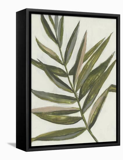 Pastel Frond II-Jennifer Goldberger-Framed Stretched Canvas