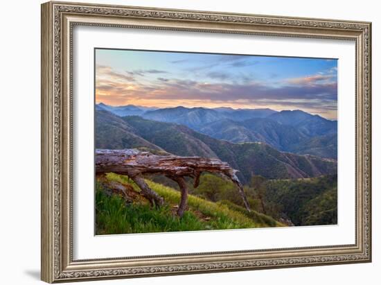 Pastel in Nature I-Mark Geistweite-Framed Photographic Print