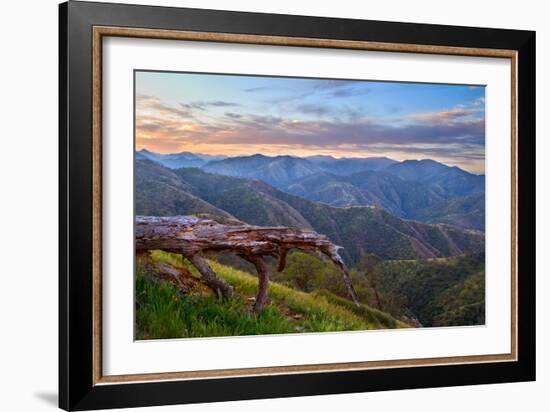 Pastel in Nature I-Mark Geistweite-Framed Photographic Print