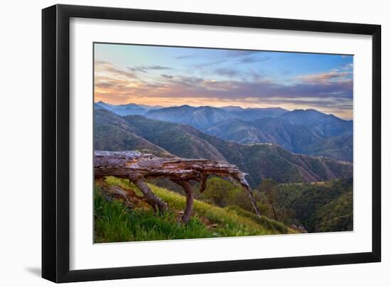 Pastel in Nature I-Mark Geistweite-Framed Photographic Print