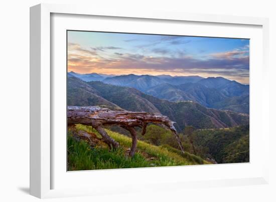 Pastel in Nature I-Mark Geistweite-Framed Photographic Print