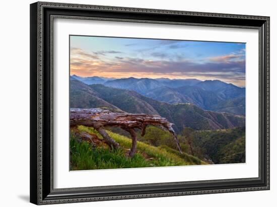 Pastel in Nature I-Mark Geistweite-Framed Photographic Print