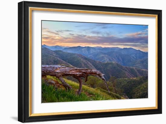 Pastel in Nature I-Mark Geistweite-Framed Photographic Print