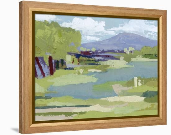 Pastel Marsh I-Grace Popp-Framed Stretched Canvas