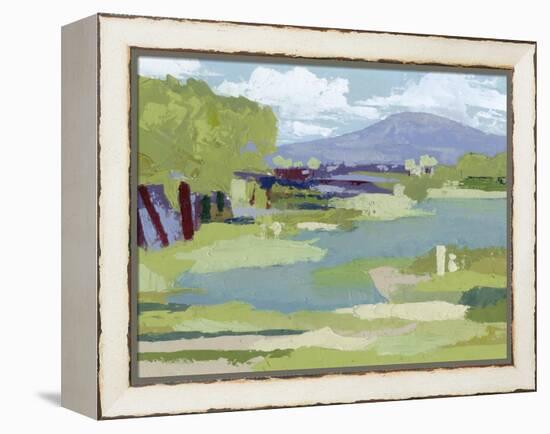 Pastel Marsh I-Grace Popp-Framed Stretched Canvas