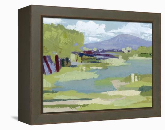 Pastel Marsh I-Grace Popp-Framed Stretched Canvas