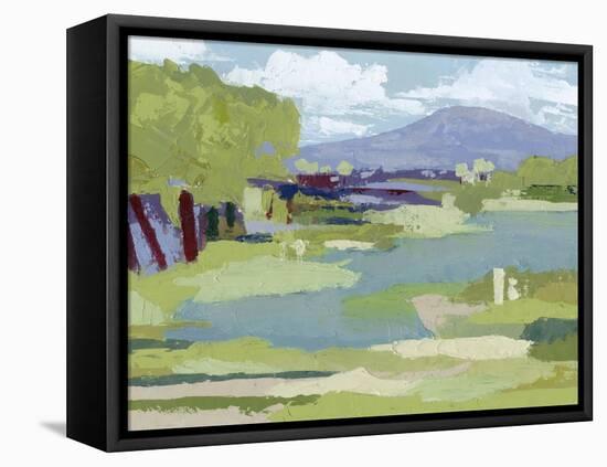 Pastel Marsh I-Grace Popp-Framed Stretched Canvas