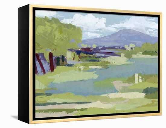 Pastel Marsh I-Grace Popp-Framed Stretched Canvas