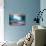 Pastel Morning-Ursula Abresch-Photographic Print displayed on a wall