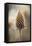 Pastel Nature Detail-Treechild-Framed Premier Image Canvas