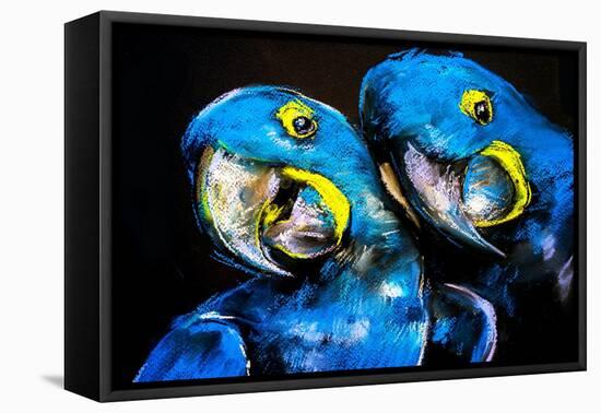 Pastel Painting of a Blue Parrots on a Cardboard. Modern Art-Ivailo Nikolov-Framed Stretched Canvas