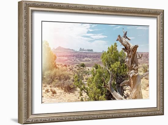 Pastel Series - American West-Philippe Hugonnard-Framed Photographic Print