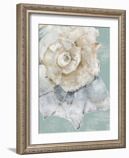 Pastel Shell I-Aimee Wilson-Framed Art Print