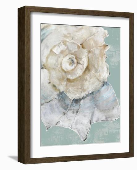 Pastel Shell I-Aimee Wilson-Framed Art Print