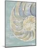 Pastel Shell II-Aimee Wilson-Mounted Art Print