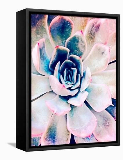 Pastel Succulent Beauty II-Irena Orlov-Framed Premier Image Canvas