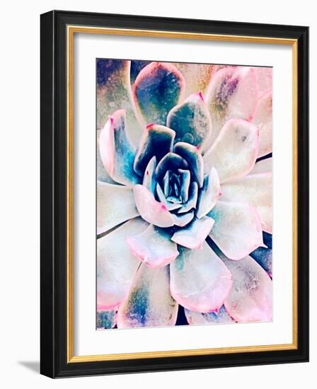 Pastel Succulent Beauty II-Irena Orlov-Framed Photographic Print