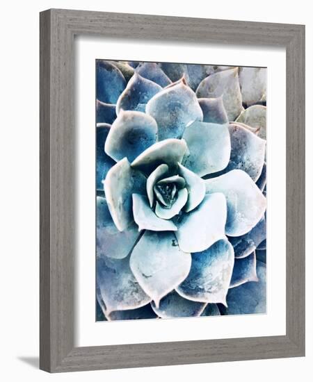 Pastel Succulent Beauty III-Irena Orlov-Framed Photographic Print