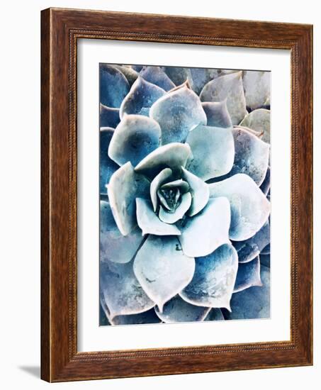 Pastel Succulent Beauty III-Irena Orlov-Framed Photographic Print