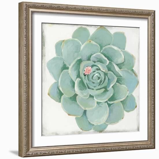 Pastel Succulent I-Aimee Wilson-Framed Art Print