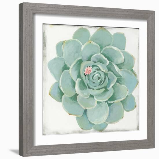 Pastel Succulent I-Aimee Wilson-Framed Art Print