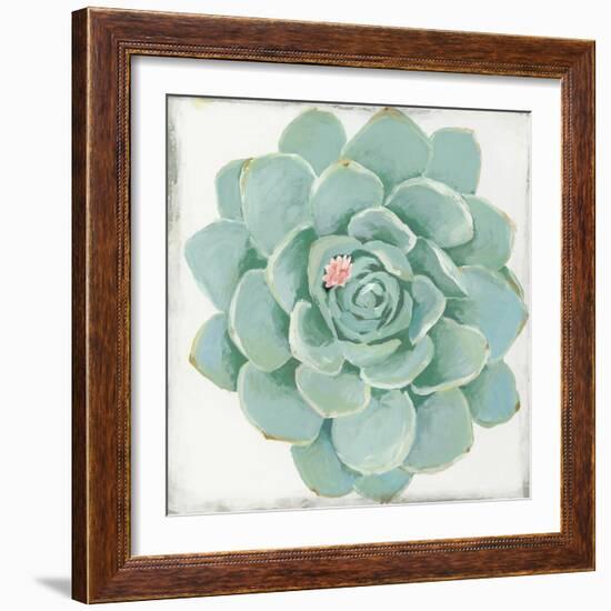 Pastel Succulent I-Aimee Wilson-Framed Art Print