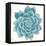 Pastel Succulent II-Aimee Wilson-Framed Stretched Canvas