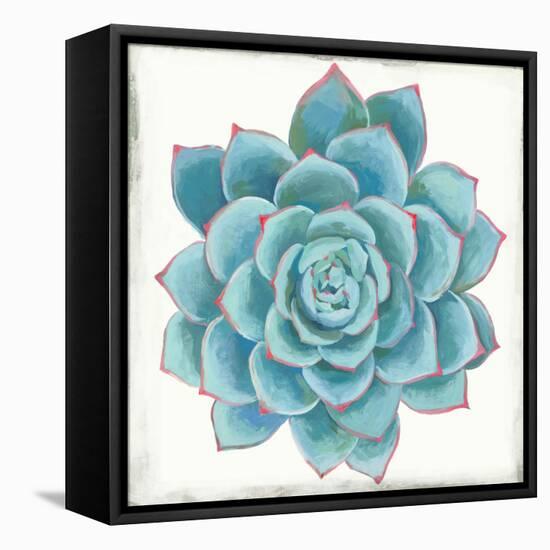 Pastel Succulent II-Aimee Wilson-Framed Stretched Canvas