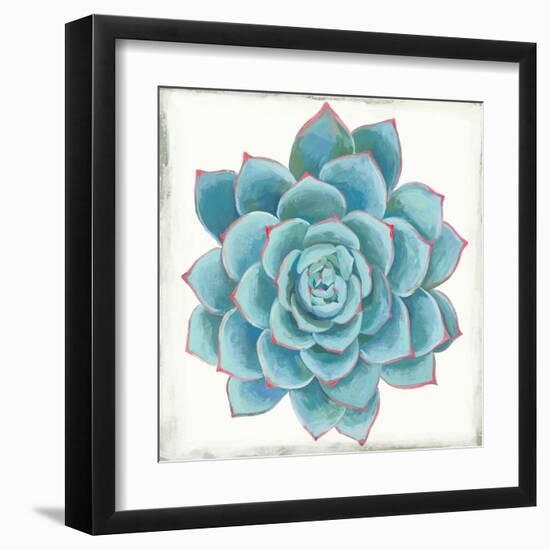 Pastel Succulent II-Aimee Wilson-Framed Art Print