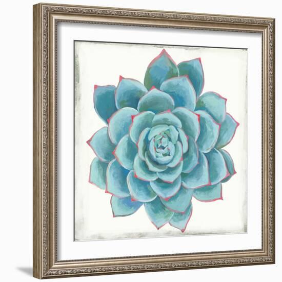 Pastel Succulent II-Aimee Wilson-Framed Art Print