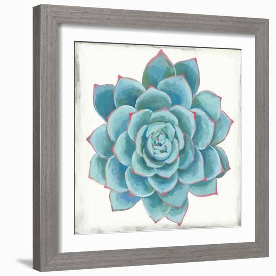 Pastel Succulent II-Aimee Wilson-Framed Art Print