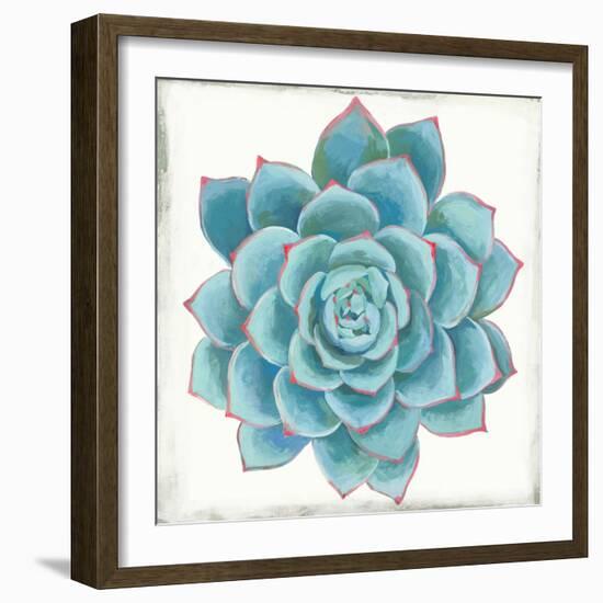 Pastel Succulent II-Aimee Wilson-Framed Art Print